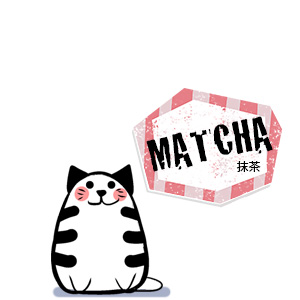 matcha the cat